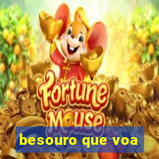 besouro que voa