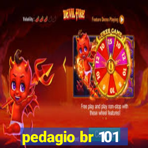 pedagio br 101