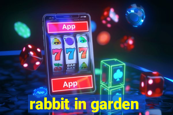 rabbit in garden