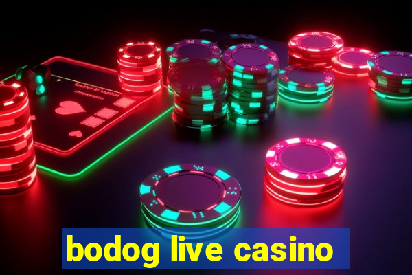 bodog live casino