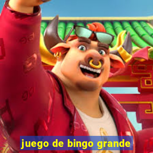 juego de bingo grande