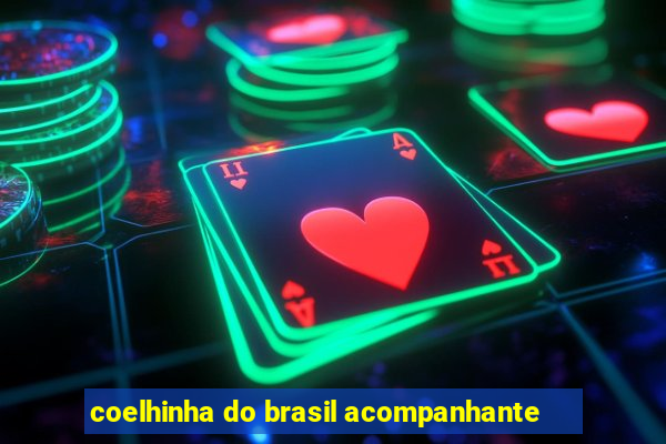 coelhinha do brasil acompanhante