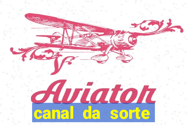 canal da sorte bingo de hoje