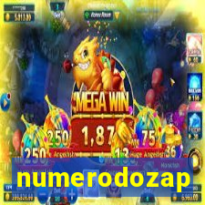 numerodozap