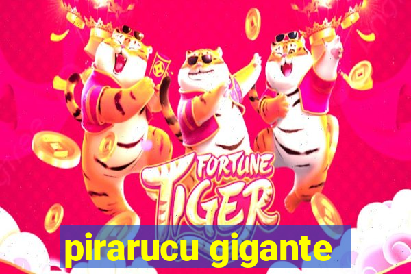 pirarucu gigante